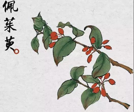 圖片